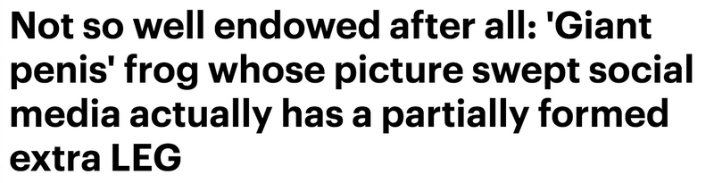 Illustration for article titled The All-Caps Words in The Daily Mail's Headlines Have Taught Me to Love LIFE Again